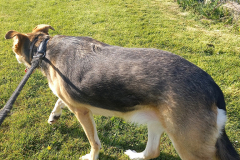 albie-004-half-size